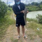 lol ku Profile Picture