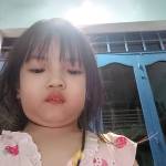 Vũ Trần Profile Picture