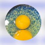 Quy Vo Profile Picture