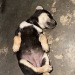 Đa Trần Profile Picture