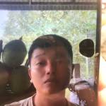 Thanh Thanh Profile Picture