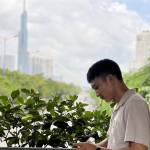 Phương Đào Profile Picture
