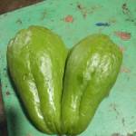 Ba Duong Profile Picture