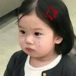 Tài Lê Profile Picture