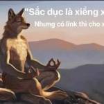 mạnh lê Profile Picture