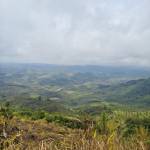 Phamcthai Profile Picture