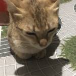 Vlxx2222 Profile Picture