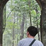 Thanh Nguyễn Profile Picture