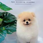 Vinh Lê Profile Picture