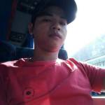 Hải Hoàng Profile Picture