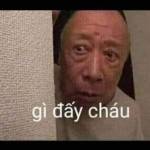 Công Hồ Profile Picture