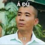 Tu Ho Profile Picture