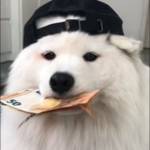 Linz M Profile Picture