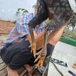 Phong Lưu Profile Picture