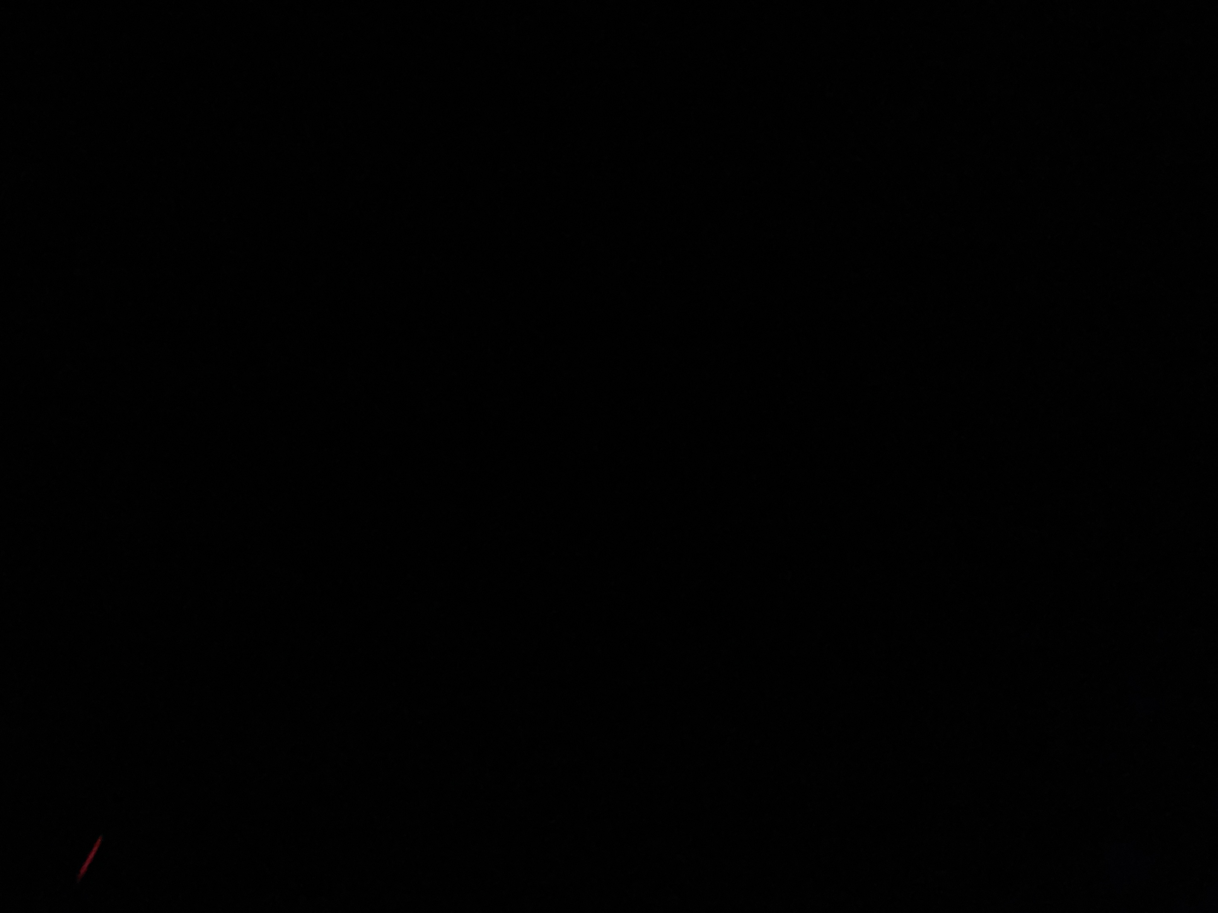 Phong T Profile Picture