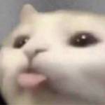Long Tran Profile Picture