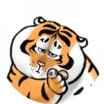 Điểm Lâm Profile Picture