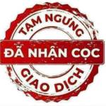 Ha Tan Profile Picture