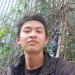 Quý Lê Profile Picture