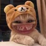 Top Profile Picture