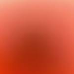 Trung Phan Profile Picture