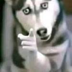 Me Lon Profile Picture