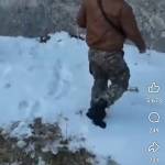 Phat Nguyễn Profile Picture