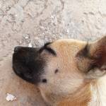 Todinhthe Profile Picture