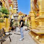 Anh Quốc Lê Profile Picture