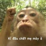 Thanh Le Profile Picture