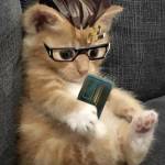 Thanh Phong Profile Picture