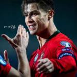 Thiên Lâm Profile Picture