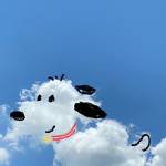 Bao Ta Profile Picture