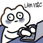 Gấu Mèo Profile Picture