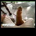 Thanh Pham Profile Picture