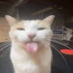 Nam Nguyễn Profile Picture