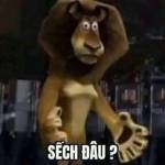Check Dạo Profile Picture