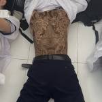 tuan phan Profile Picture