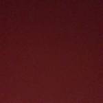 Songvedem Profile Picture