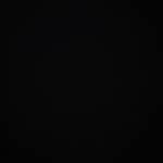 Dien Le Profile Picture