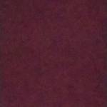 Khoile Profile Picture