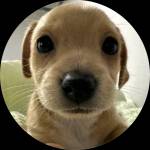 Jixing Profile Picture
