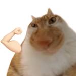 Dat Lai Profile Picture