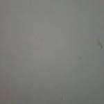 Shenlong Shenlong Profile Picture