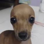 Lực Trương Profile Picture