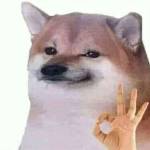 Nguyên Lê Profile Picture