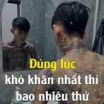 Đạt Tấn Profile Picture