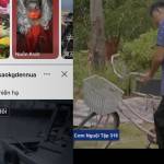 Nay Hoang Profile Picture