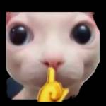 Black Profile Picture