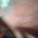 Mi Ka Profile Picture